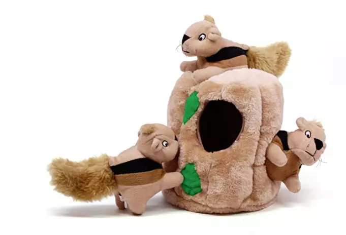 Outward Hound Hide-A-Squirrel Squeaky Puzzle Plush Dog Toy