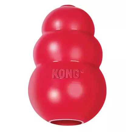 KONG Classic Dog Toy