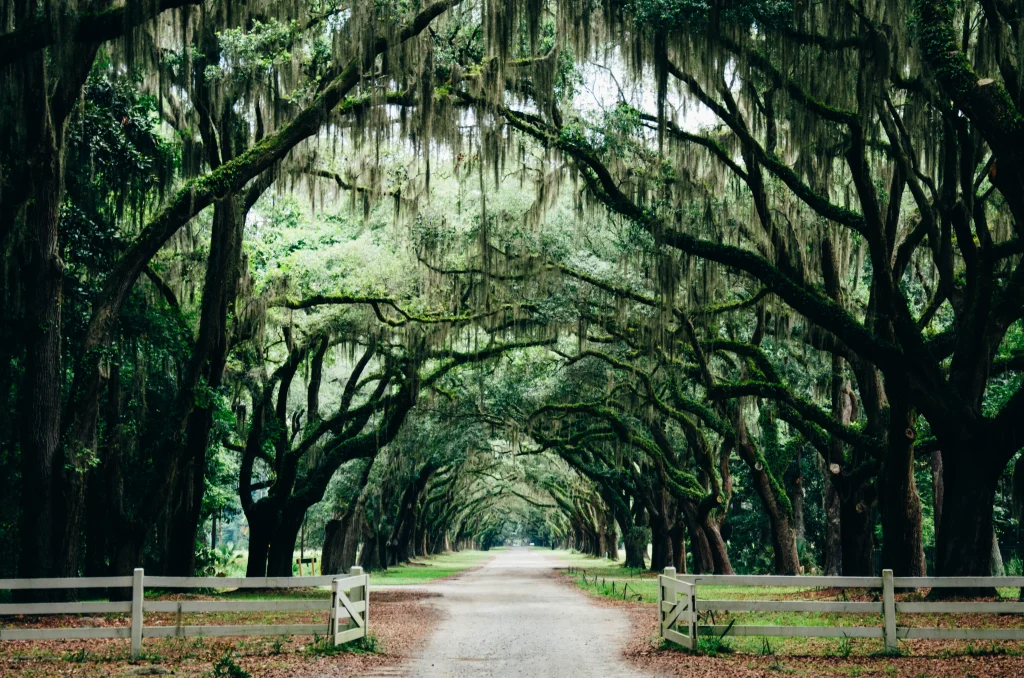 Savannah Georgia