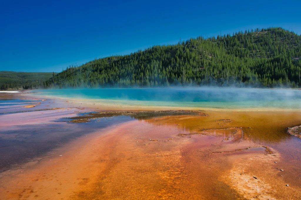 Yellowstone