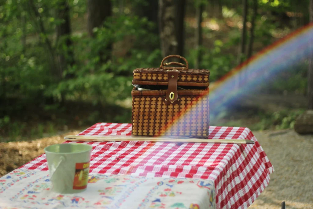 A picnic on a table in the woods