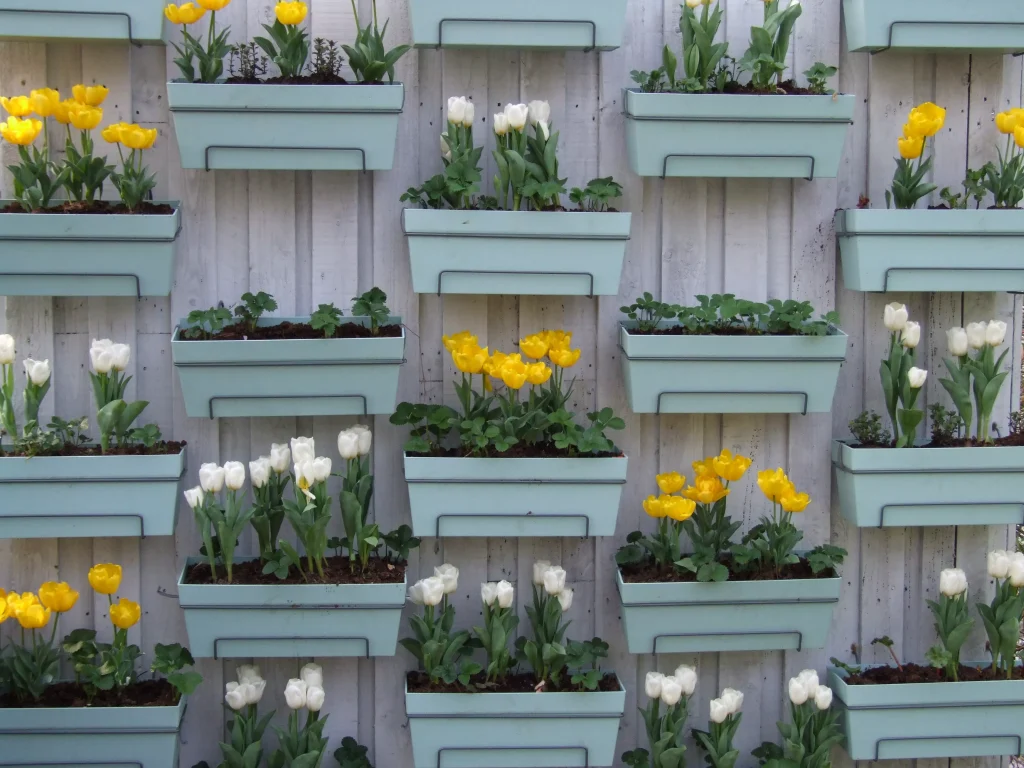 Potted plants on walls