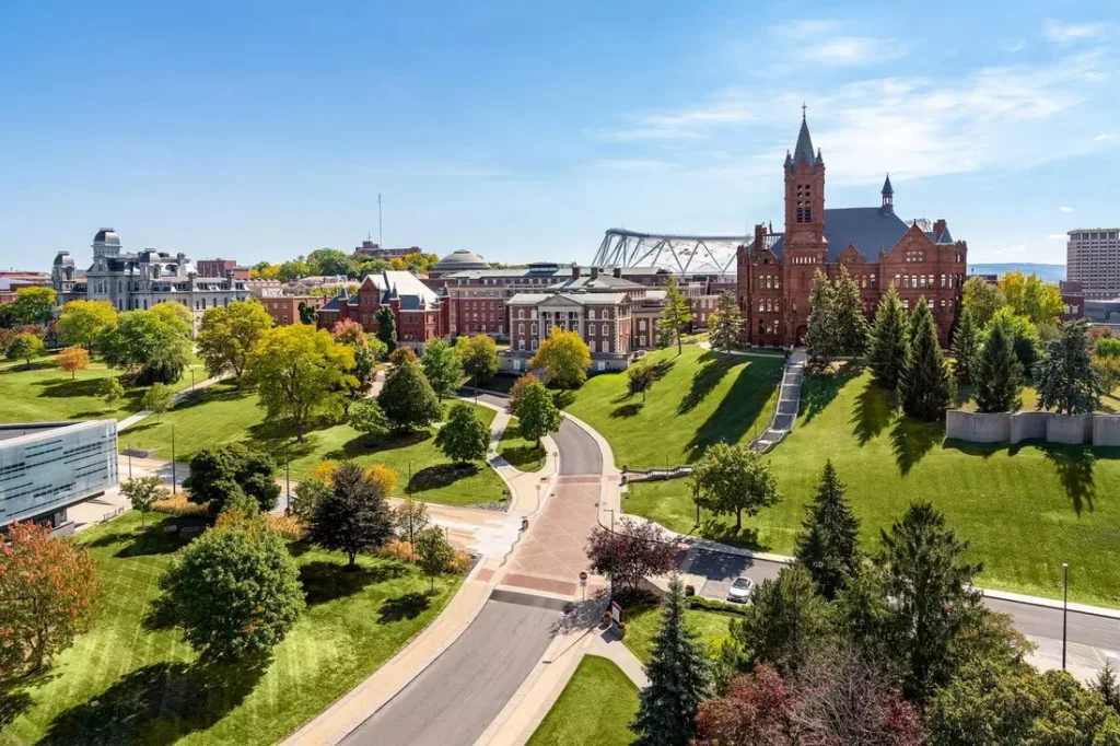 A beautiful day on green fields 