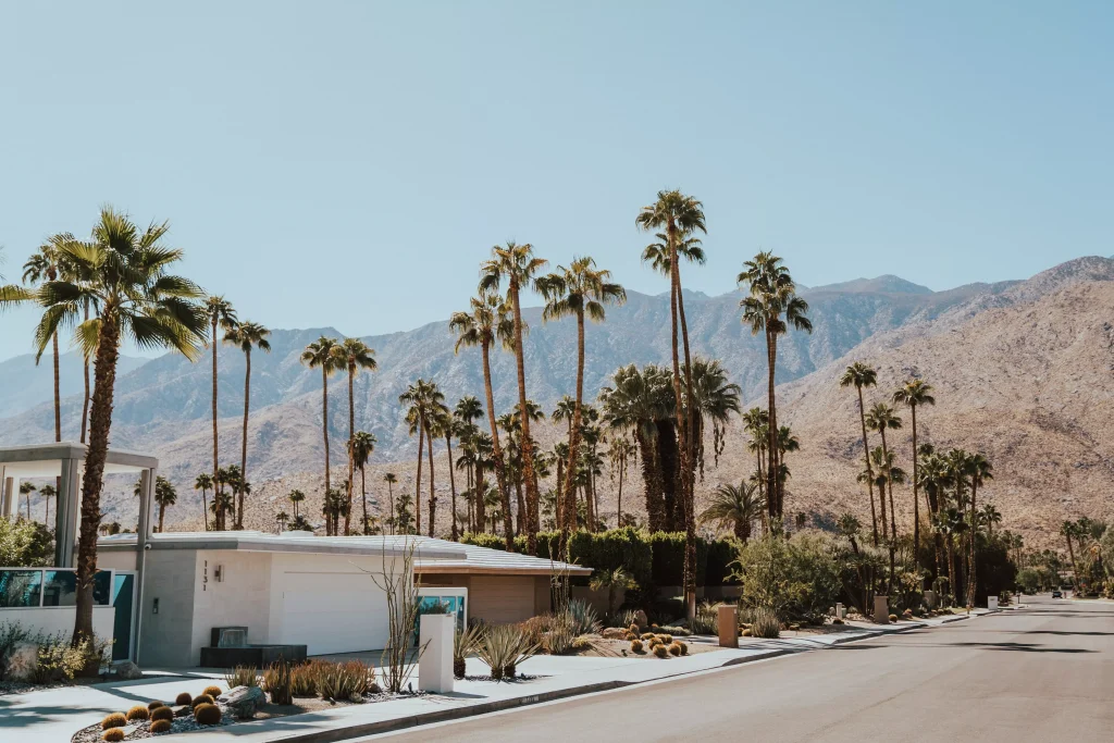 little white houses in the dessert surrounded with palms