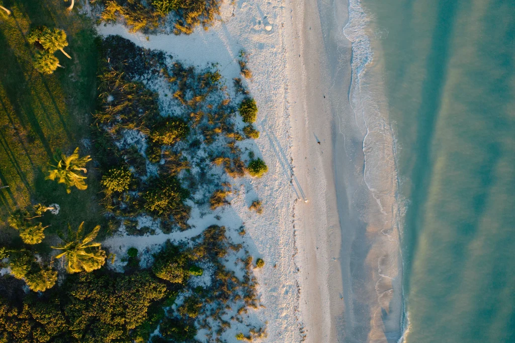 Beautiful view of a beach and sea from above