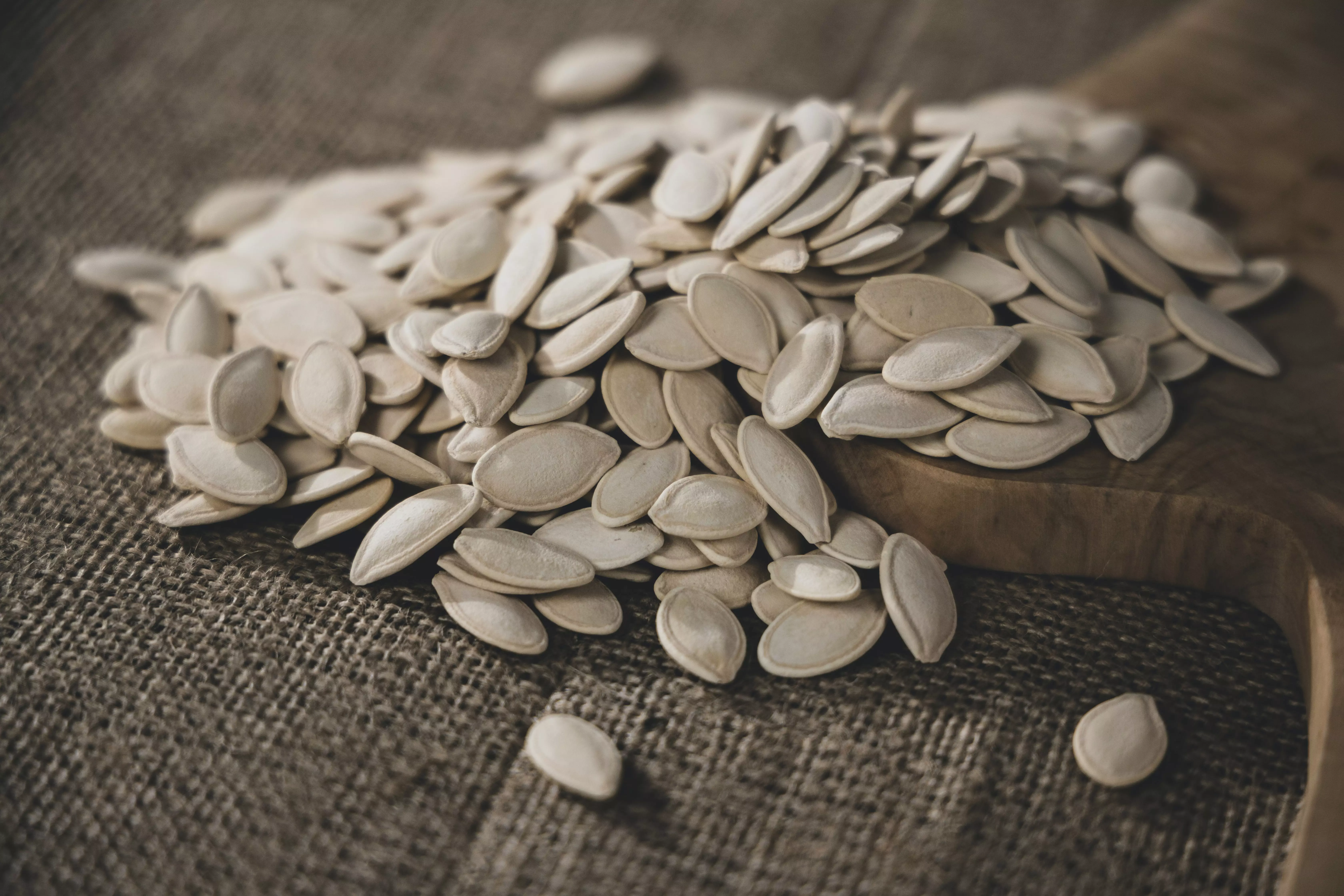 A lot of pumpkin seeds spilled on the floor