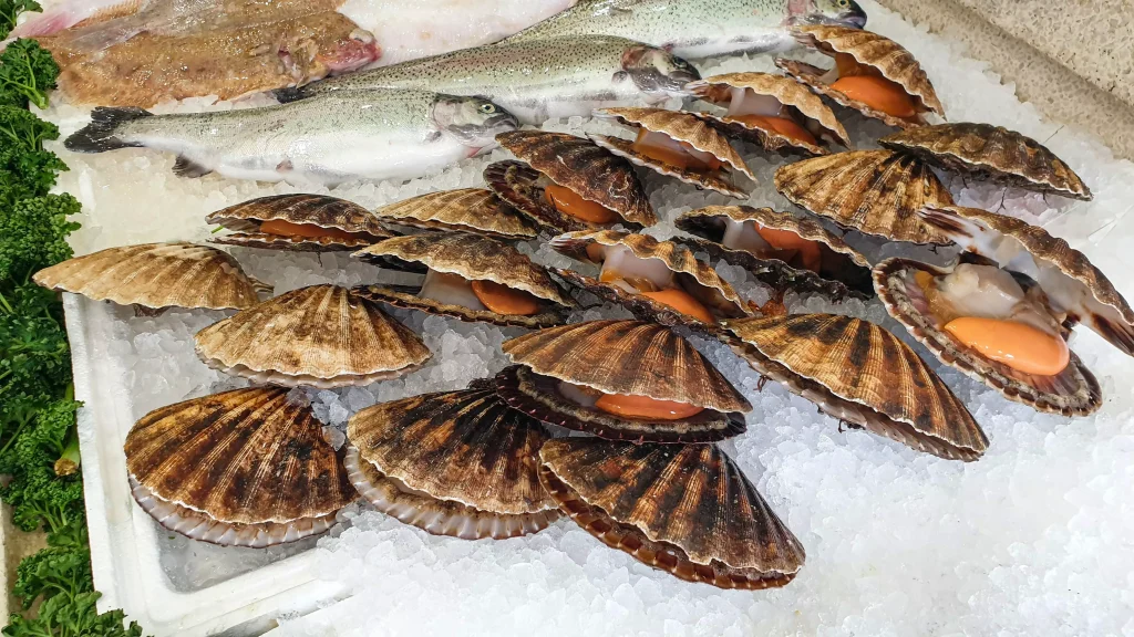 Shellfish placed on ice in an ice box