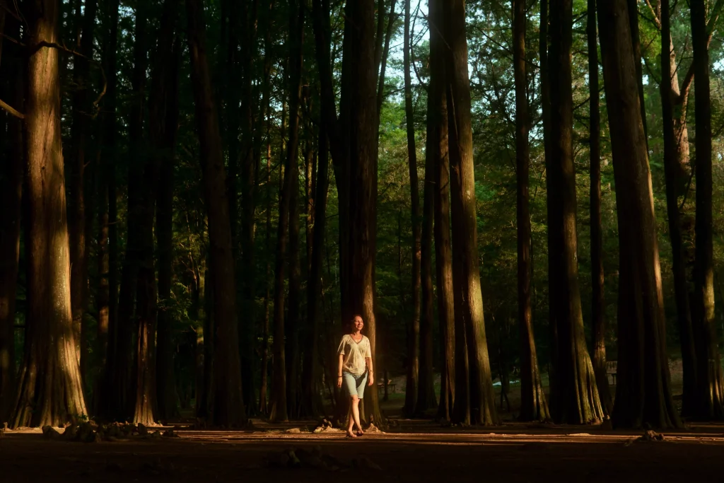 A women in the woods enjoying the sunset which breaks through the trees