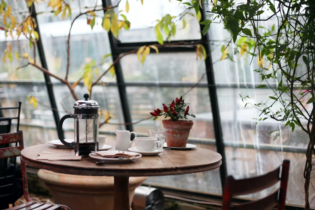 Cafe with windows and plants