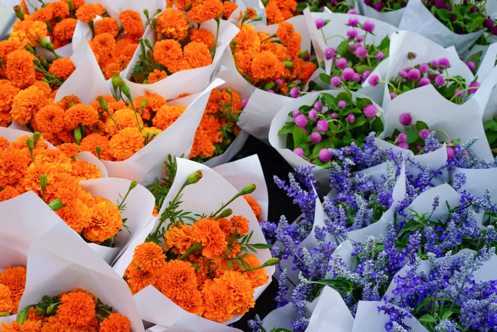 Pink orange and purple flowers arranged in bouquets and wrapped in white paper