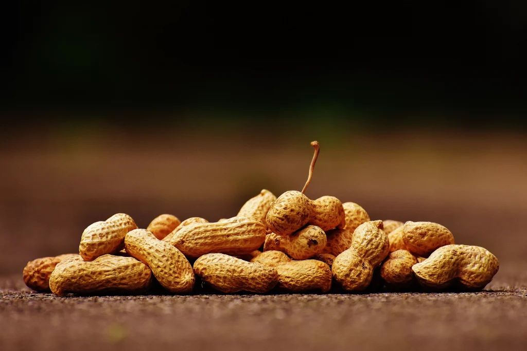 Unopened peanuts placed on table