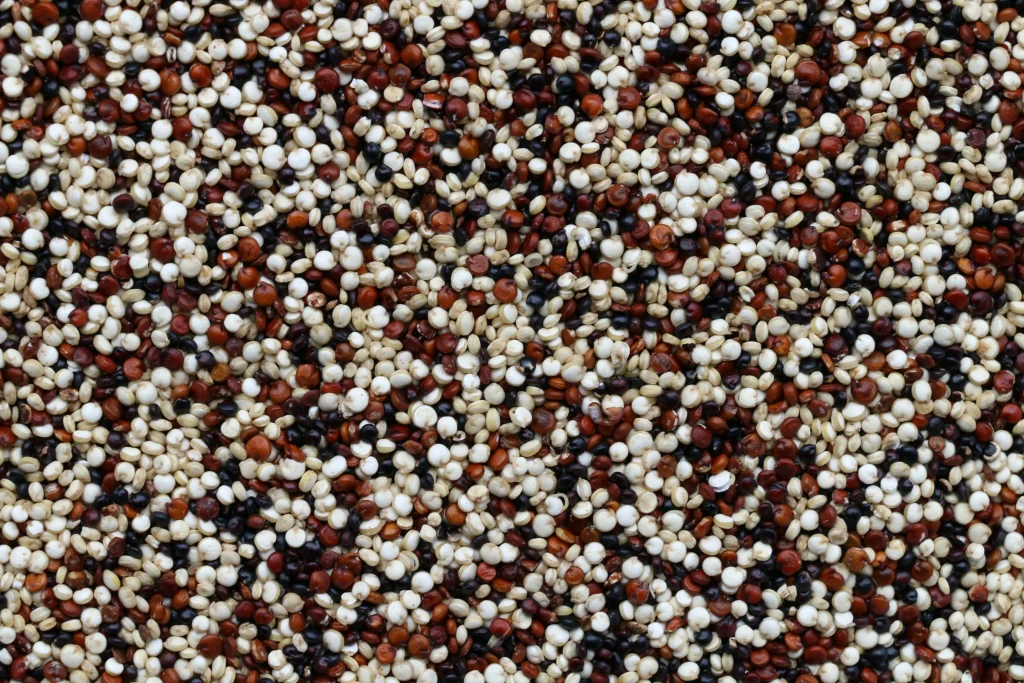 Quinoa a high-protein, high-fiber, high-vitamin, and high-mineral grain