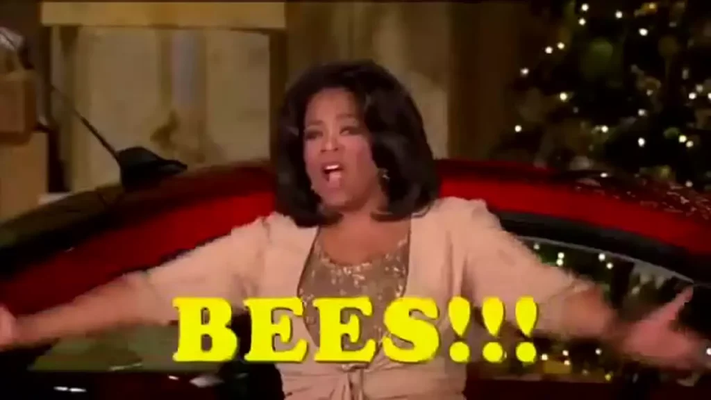 Bees Bees Bees