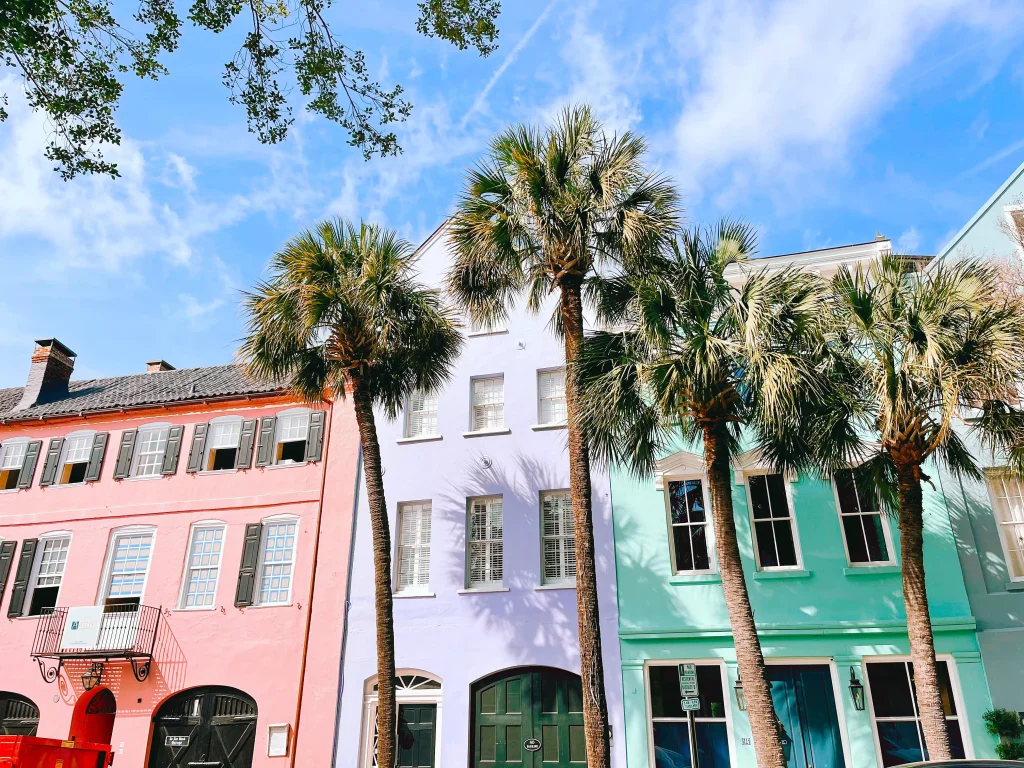 Pink purple and green houses behind Palm trees