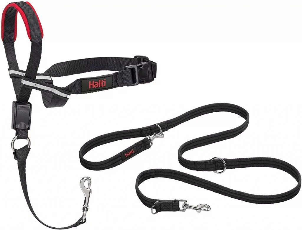 a dog collar with red details and wilver endings