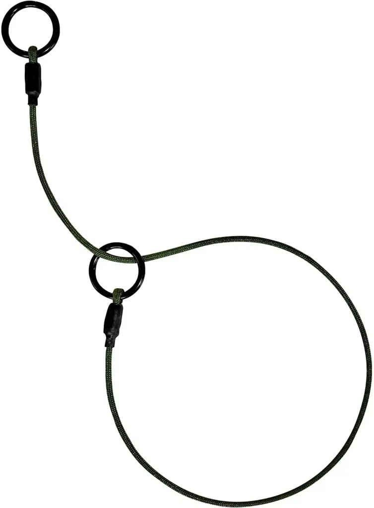 a wire with circles on both ends