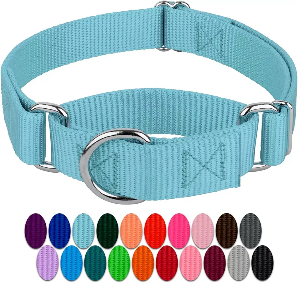 dog collar in different colors