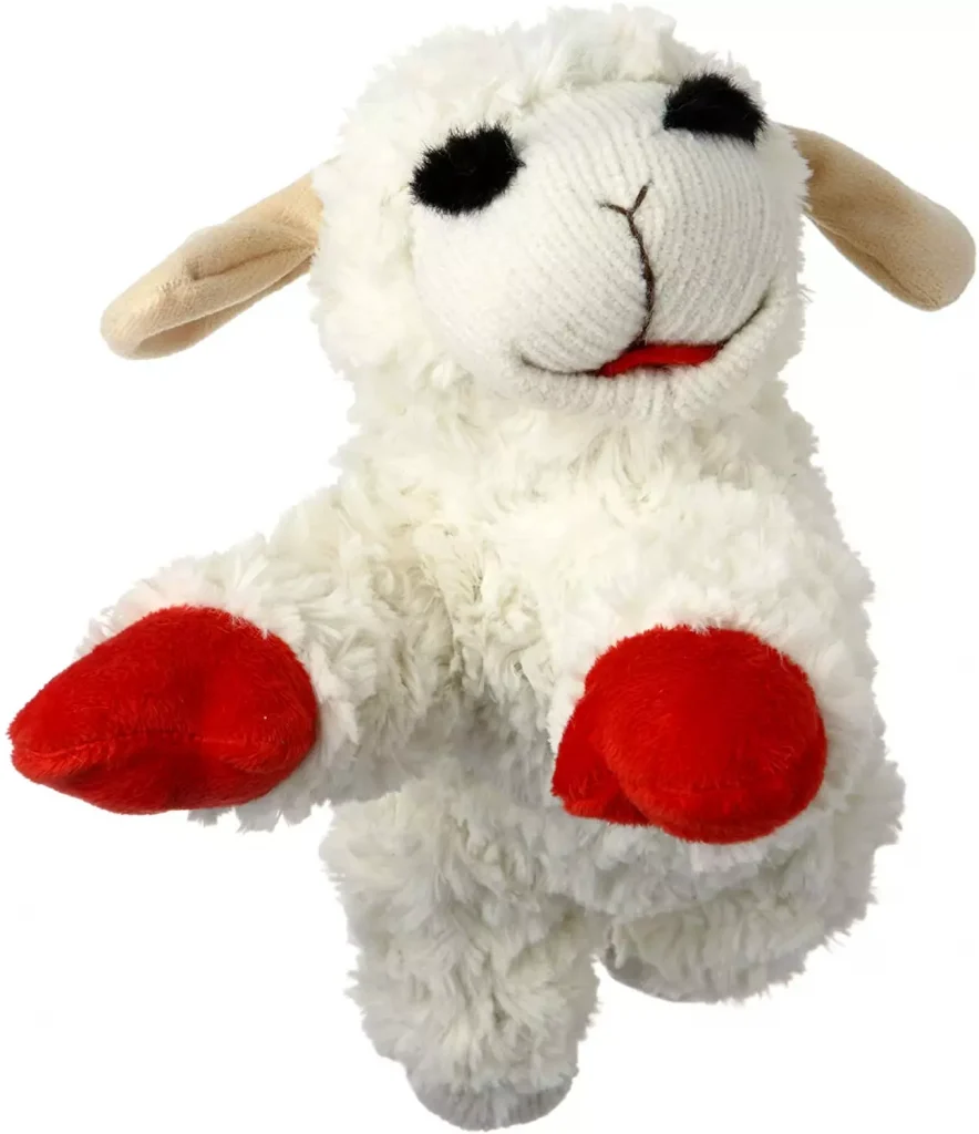 a little lamb with red feet and dark eyes