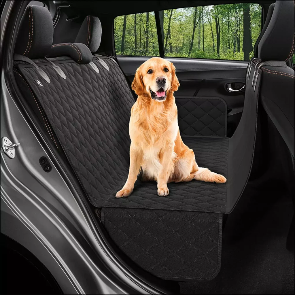 a dog in the backseat of a car sitting