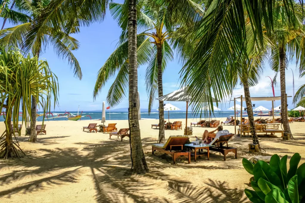 a beach with a lot of palm trees