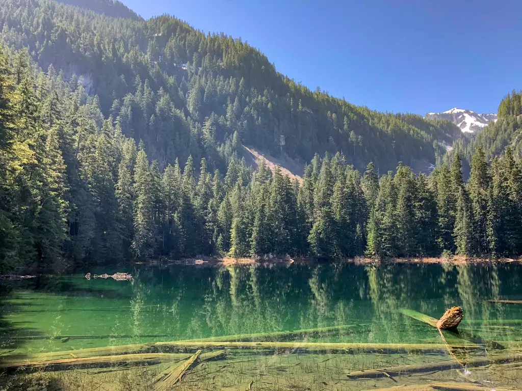 a green color lake in the middle of the woods next to a mountain