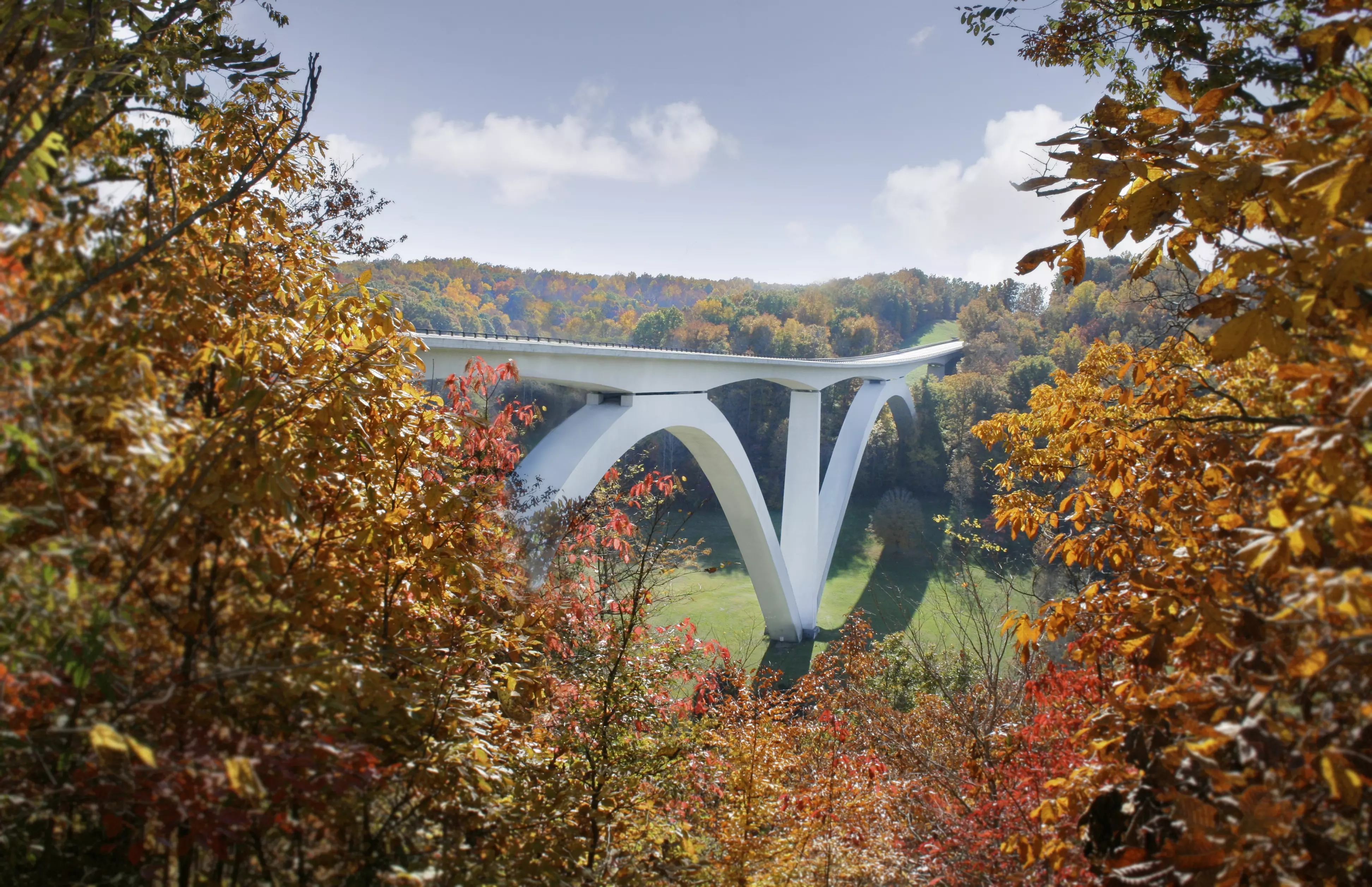 bridge in the middle of the woods photographed in the fall