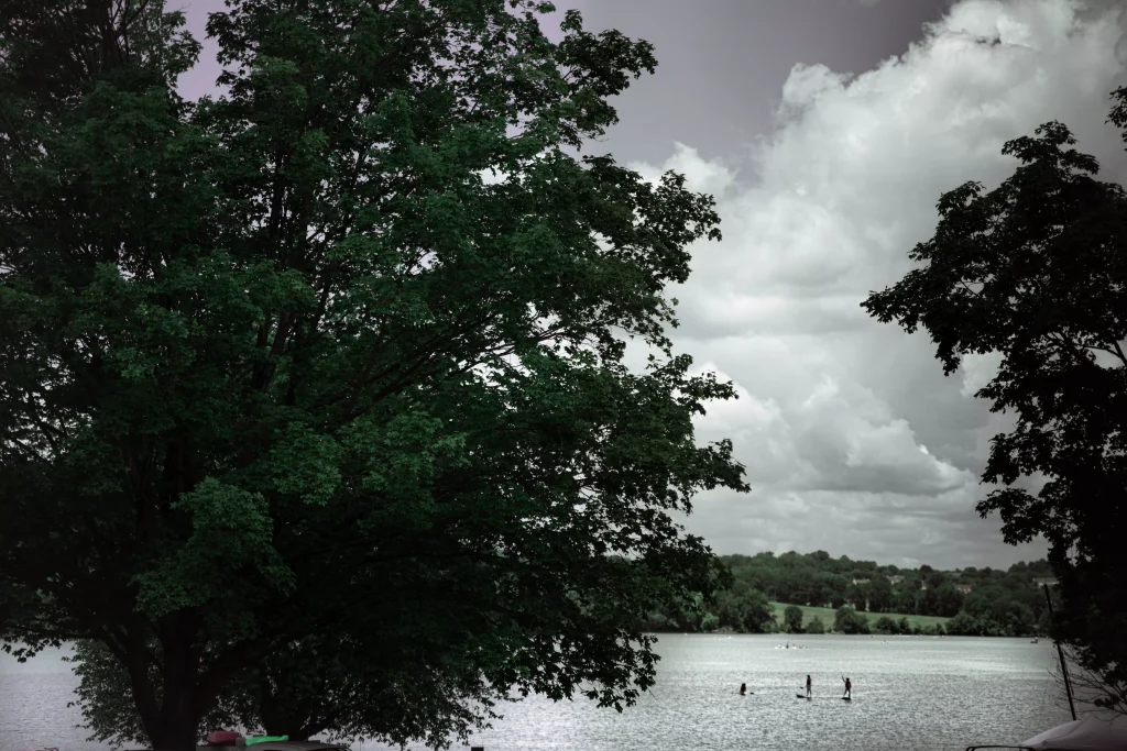 people on a surf board in a lake