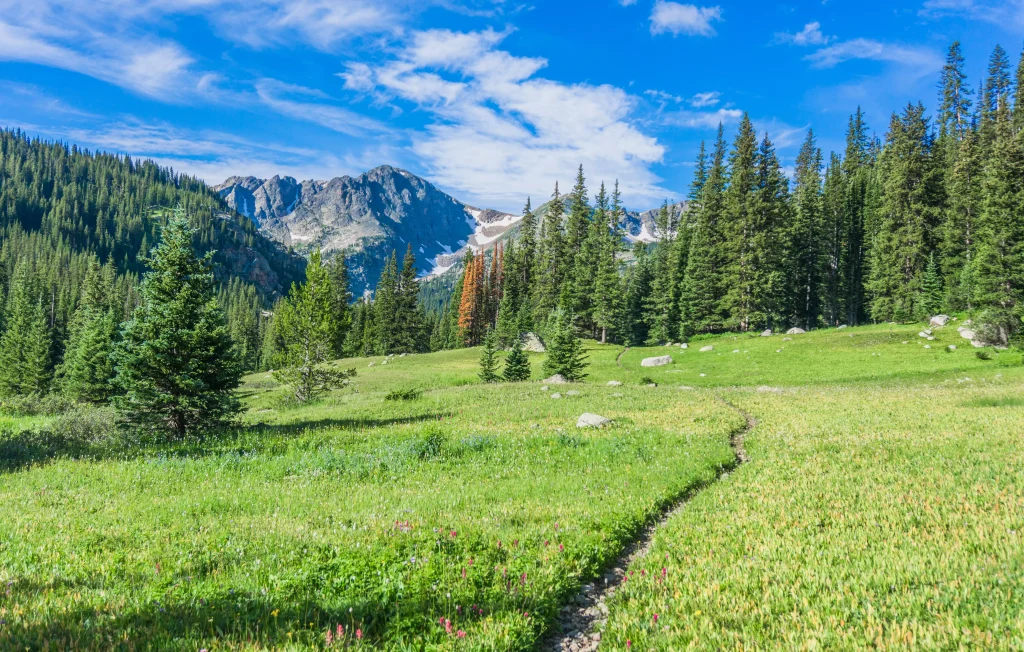 green fields in mountains surrounded by trees