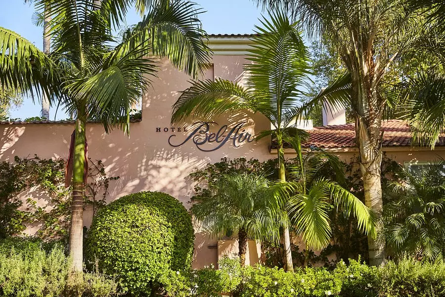 villa house behind some palm trees photographed in bright daylight