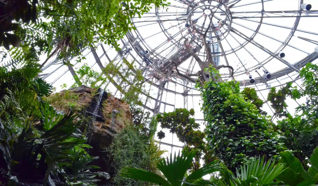 trees inside of a structure