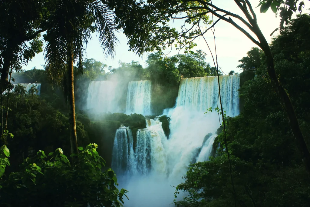 waterfall in a green forest photographed in sunset