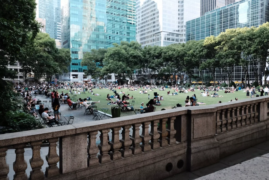 people in a park on grass 