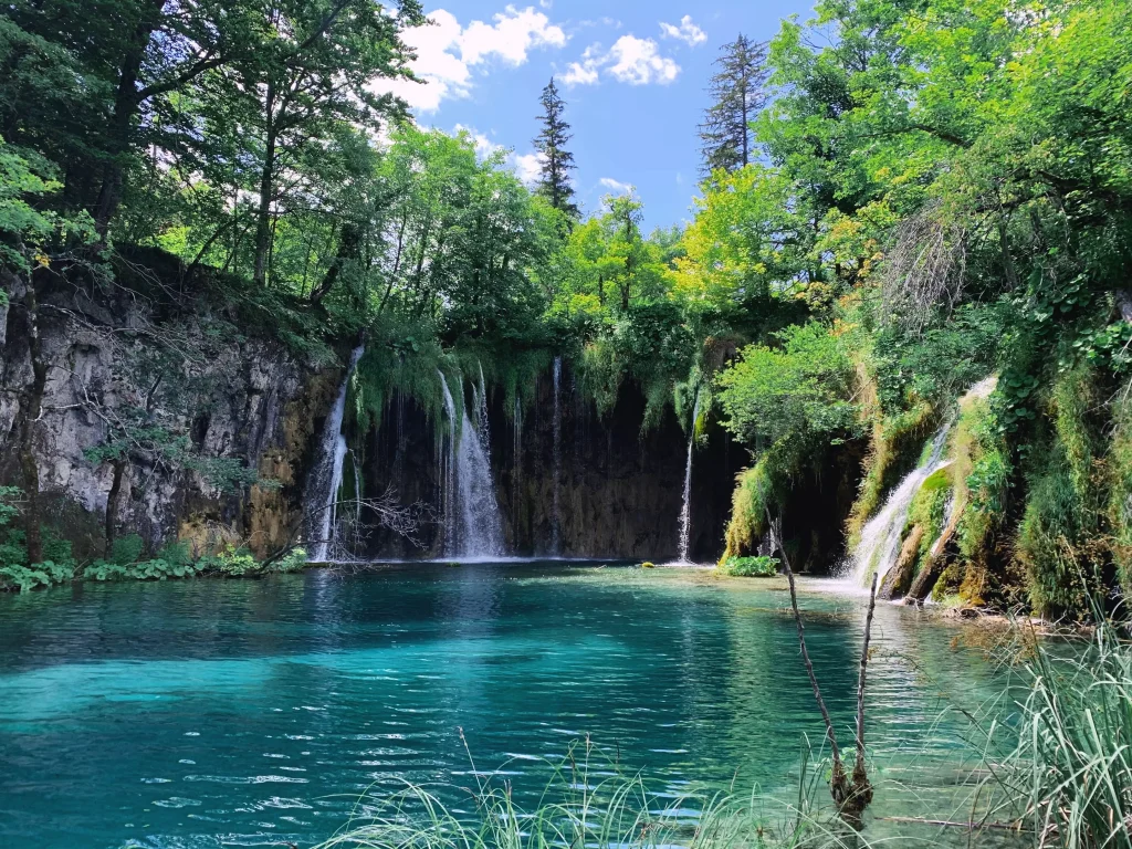 blue river and little waterfalls in the middle of a green forest