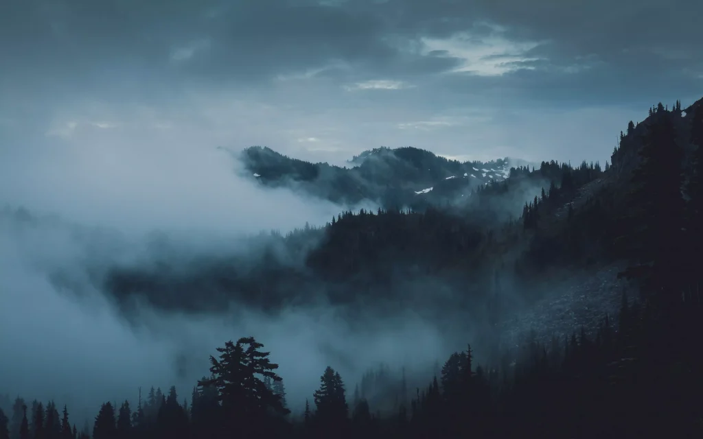 Fog in the forest and mountains