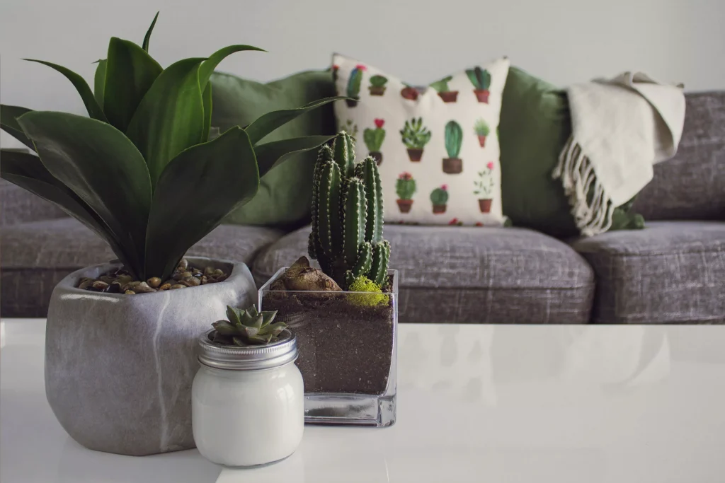 plants on a white table next to a grey couch with white pillows