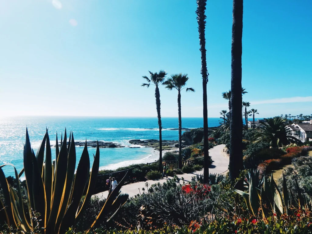 a beach with crystal clear beach water photographed behind some palm trees