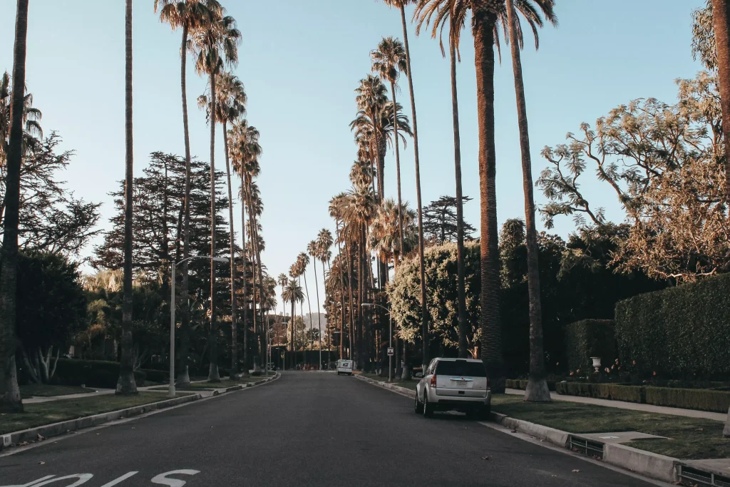 a car next to some palm trees in a empty street