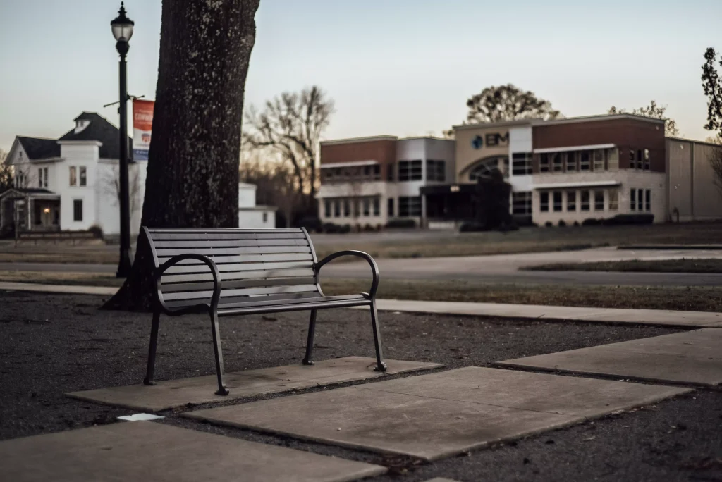 a bench infront of a tree on a sidewalk