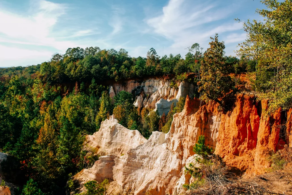 beautiful forest on red color cliffs