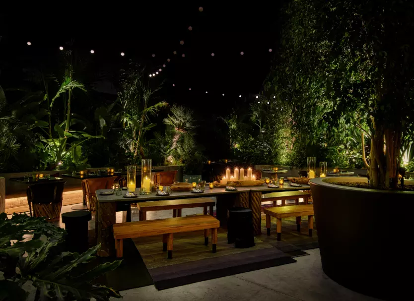 brown restaurant interior with yellow lights next to green plants