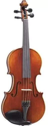 slightly bent wooden violin