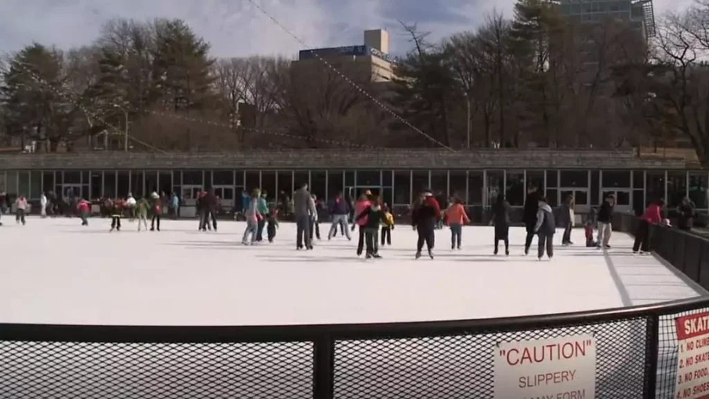 people skating on ice