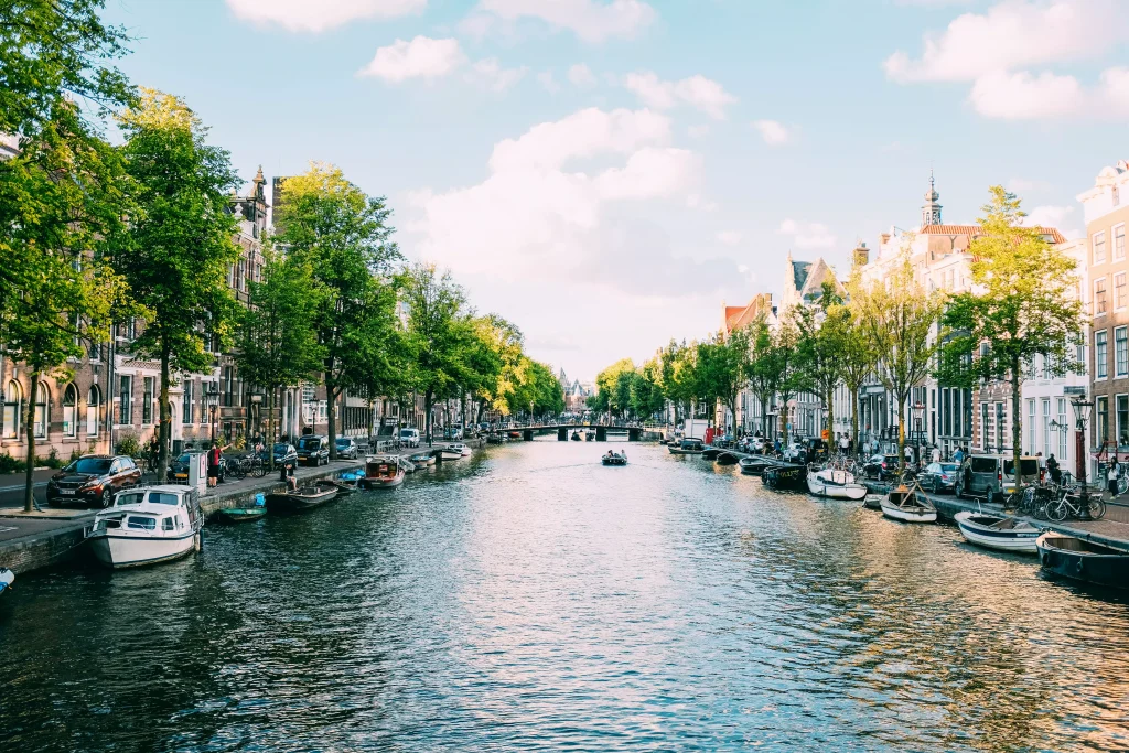 a river next to green trees and small organized buildings