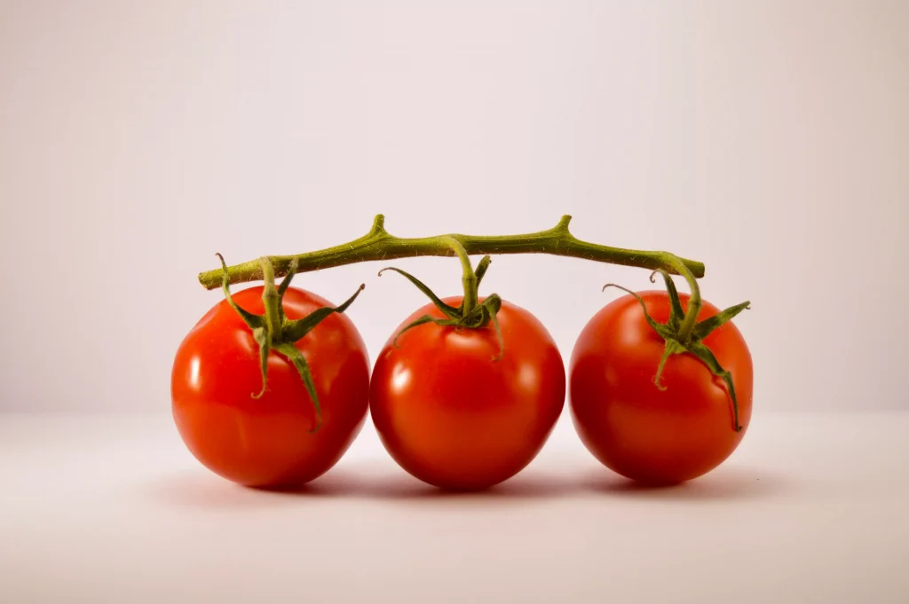 three tomatoes conected with leafs