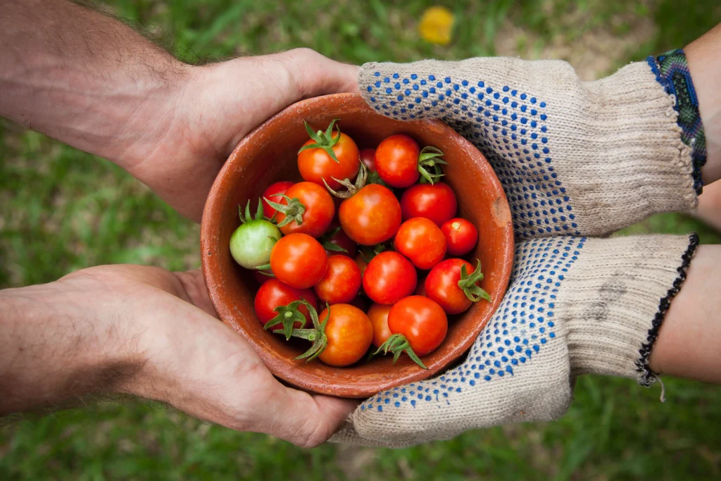 two people holding a bowl of small tomatoes