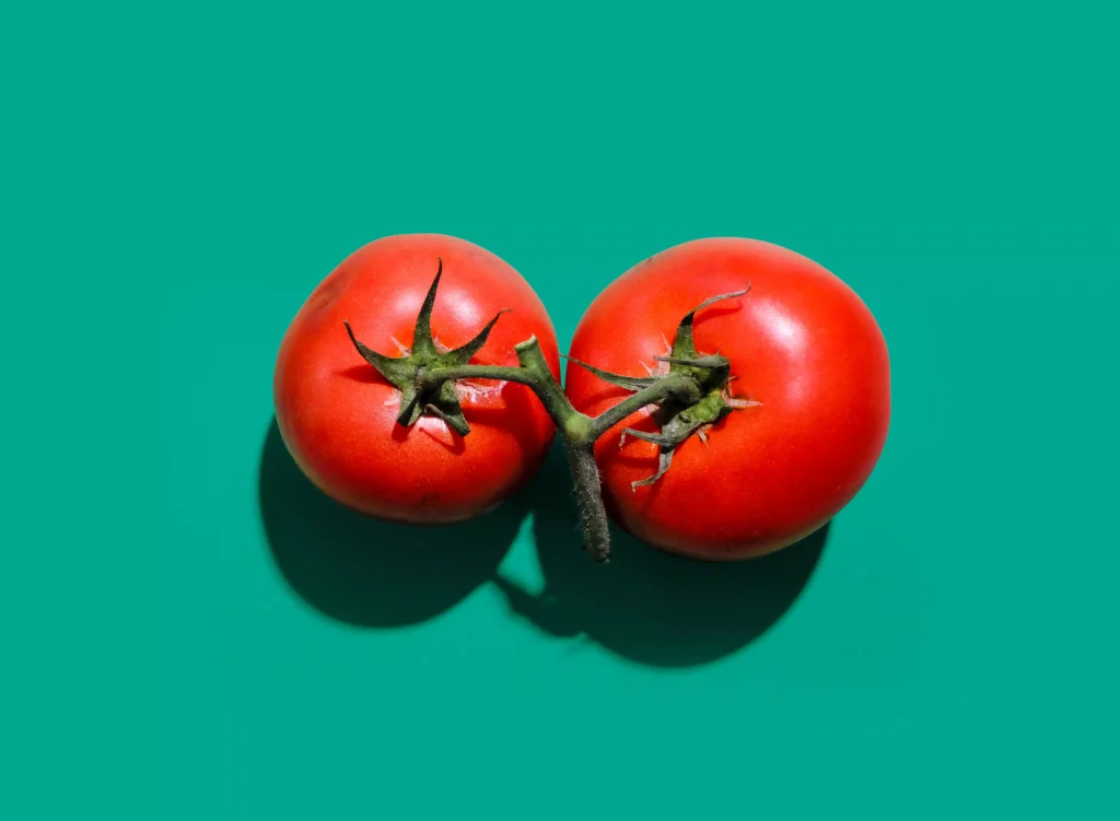 tomatoes on a green surface