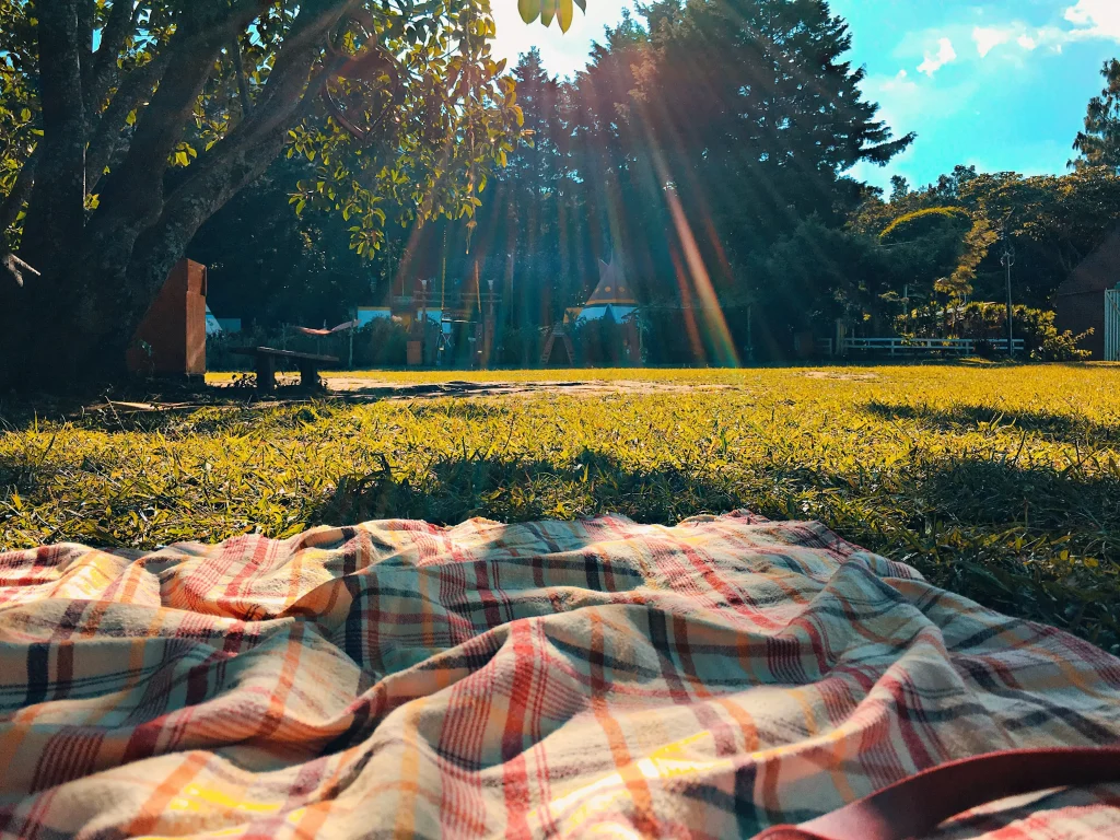 a blanket on green grass in a park