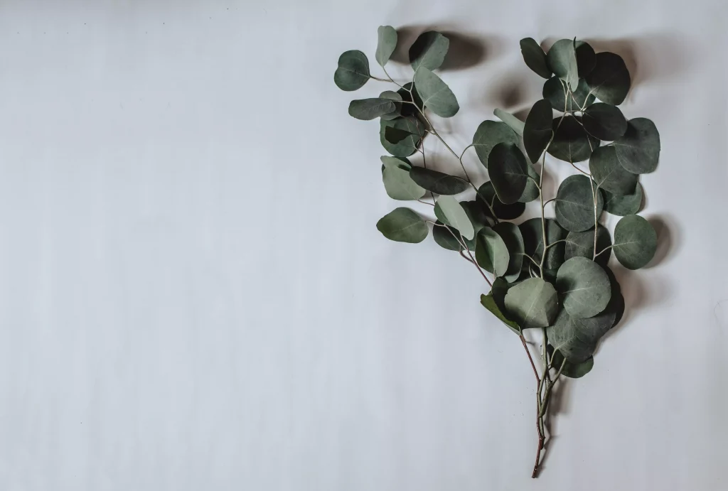 bouquet of green flowers