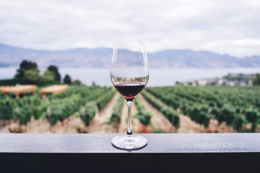 wine glass on a balcony overlooking a grape field