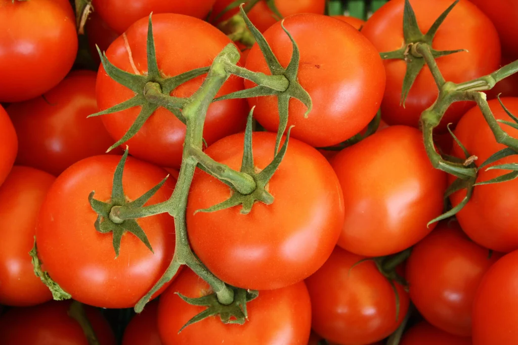 freshly picked tomatoes on a table